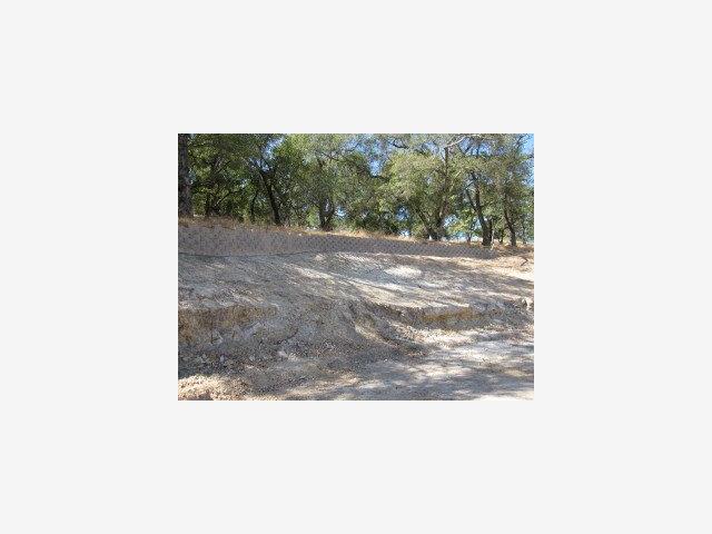 9115 TEA TREE Way, GILROY, California 95020, ,Lots And Land,For Sale,TEA TREE Way,40966618