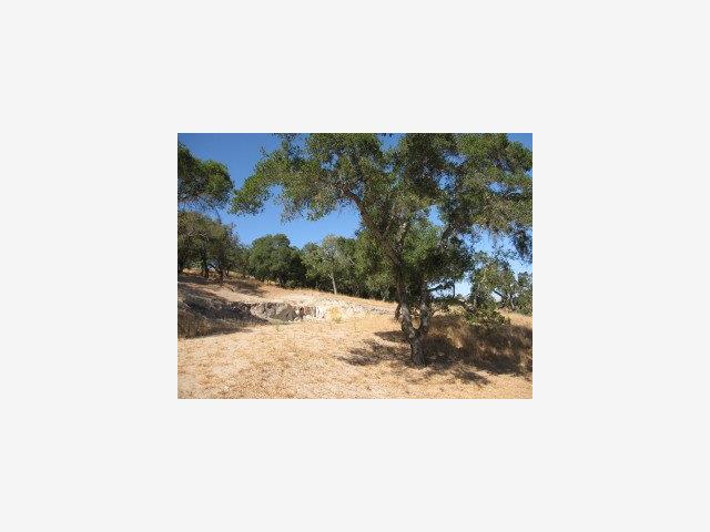 9115 TEA TREE Way, GILROY, California 95020, ,Lots And Land,For Sale,TEA TREE Way,40966618