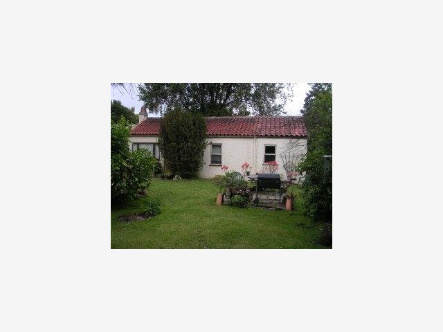 0 ASH Street, PALO ALTO, California 94306, ,Lots And Land,For Sale,ASH Street,40966616