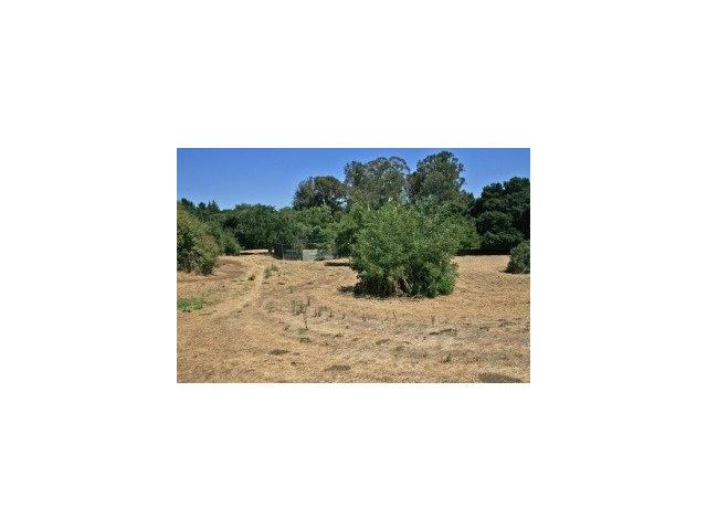 14230 WILD PLUM Lane, LOS ALTOS HILLS, California 94022, ,Lots And Land,For Sale,WILD PLUM Lane,40966610