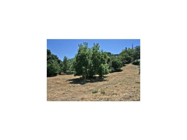 14230 WILD PLUM Lane, LOS ALTOS HILLS, California 94022, ,Lots And Land,For Sale,WILD PLUM Lane,40966610