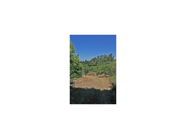 14230 WILD PLUM Lane, LOS ALTOS HILLS, California 94022, ,Lots And Land,For Sale,WILD PLUM Lane,40966610