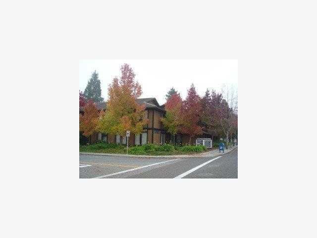 1580 EL CAMINO REAL, MOUNTAIN VIEW, California 94040, ,Comm Industrial For Sale,For Sale,EL CAMINO REAL,40962951