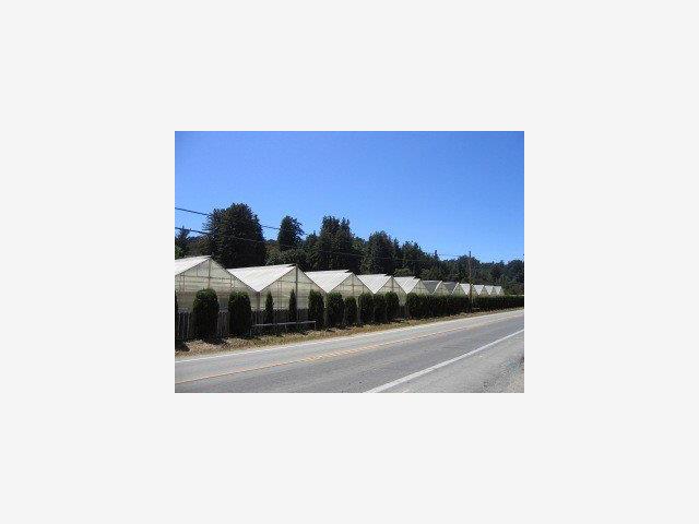 3233 FREEDOM Boulevard, OTHER - SEE REMARKS, California 95076, ,Comm Industrial For Sale,For Sale,FREEDOM Boulevard,40962936