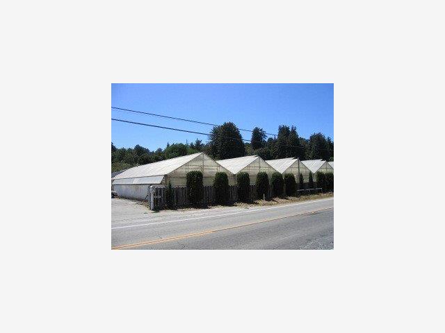 3233 FREEDOM Boulevard, OTHER - SEE REMARKS, California 95076, ,Comm Industrial For Sale,For Sale,FREEDOM Boulevard,40962936