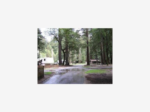 4770 HWY 9, SAN LORENZO, California 95018, ,Comm Industrial For Sale,For Sale,HWY 9,40962969