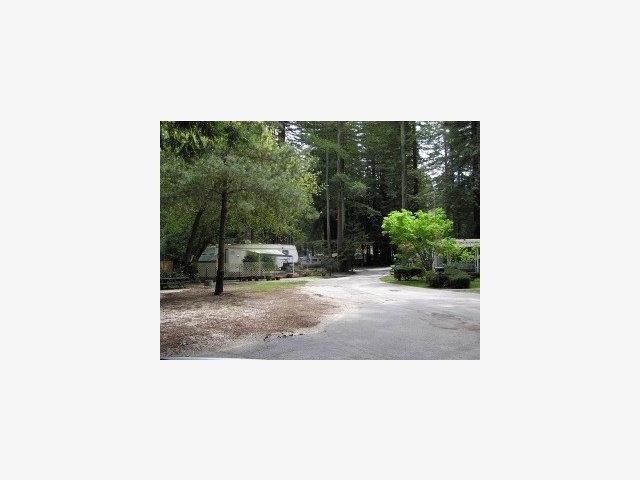 4770 HWY 9, SAN LORENZO, California 95018, ,Comm Industrial For Sale,For Sale,HWY 9,40962969