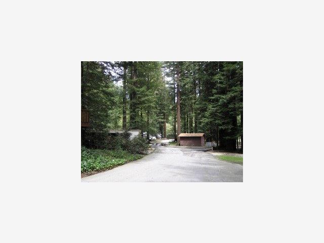 4770 HWY 9, SAN LORENZO, California 95018, ,Comm Industrial For Sale,For Sale,HWY 9,40962969