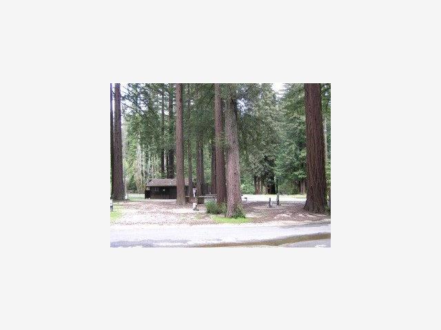 4770 HWY 9, SAN LORENZO, California 95018, ,Comm Industrial For Sale,For Sale,HWY 9,40962969