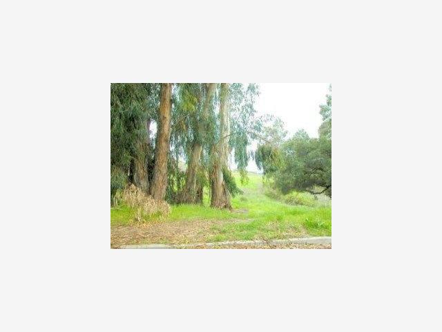 22551 MOUNT EDEN Road, SARATOGA, California 95070, ,Lots And Land,For Sale,MOUNT EDEN Road,40966602