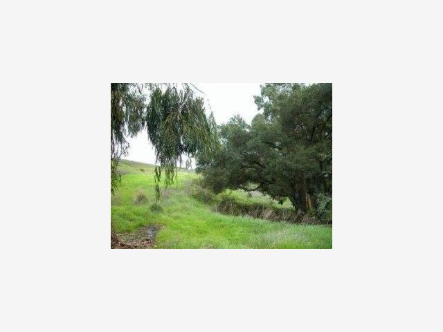 22551 MOUNT EDEN Road, SARATOGA, California 95070, ,Lots And Land,For Sale,MOUNT EDEN Road,40966602