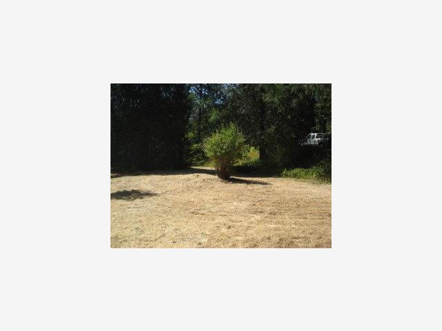 2777 Murphys Grade Road, MURPHYS, California 95247, ,Lots And Land,For Sale,Murphys Grade Road,40966600
