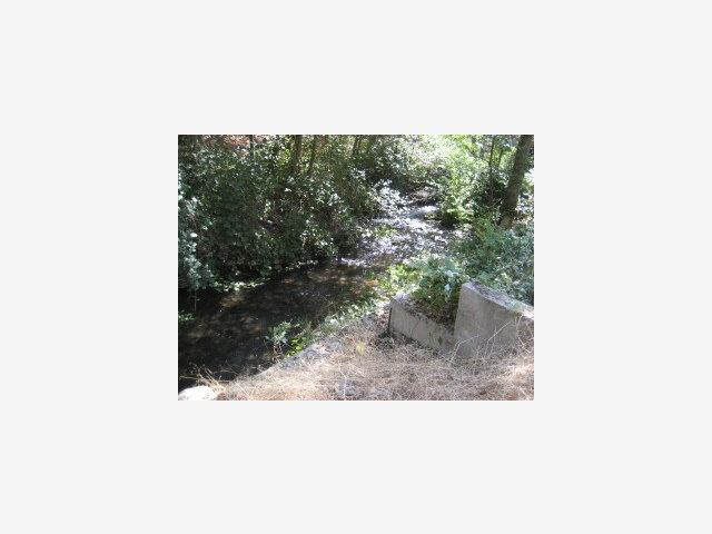 2777 Murphys Grade Road, MURPHYS, California 95247, ,Lots And Land,For Sale,Murphys Grade Road,40966600