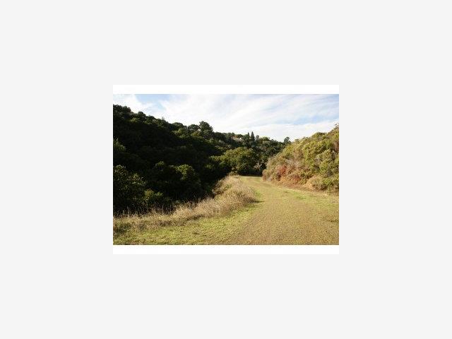 0 Brooke Court, HILLSBOROUGH, California 94010, ,Lots And Land,For Sale,Brooke Court,40966595