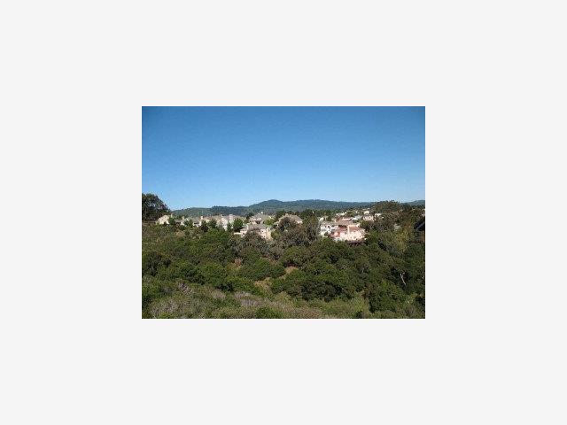 0 NAUGHTON Avenue, BELMONT, California 94002, ,Lots And Land,For Sale,NAUGHTON Avenue,40966594