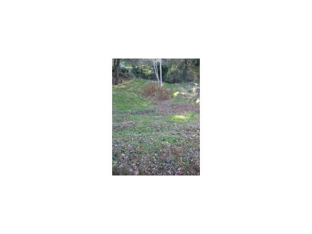 243 SEQUOIA Avenue, WALNUT CREEK, California 94595, ,Lots And Land,For Sale,SEQUOIA Avenue,40966605