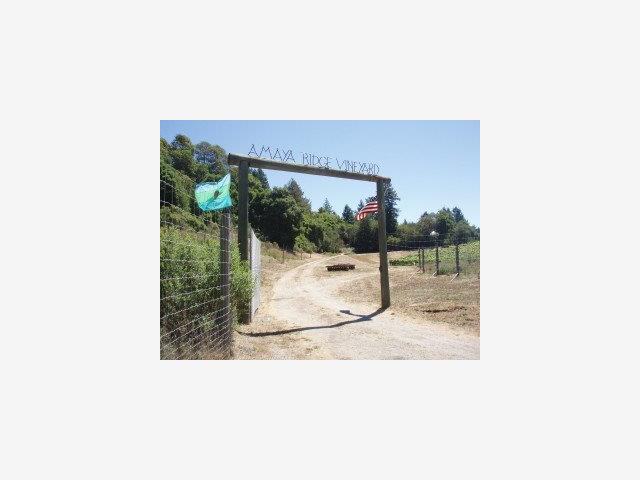 1100 AMAYA RIDGE Road, SOQUEL, California 95073, ,Lots And Land,For Sale,AMAYA RIDGE Road,40966603