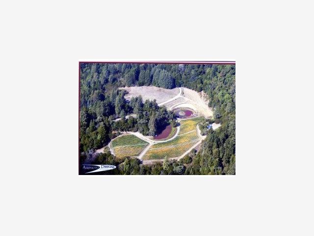 1100 AMAYA RIDGE Road, SOQUEL, California 95073, ,Lots And Land,For Sale,AMAYA RIDGE Road,40966603