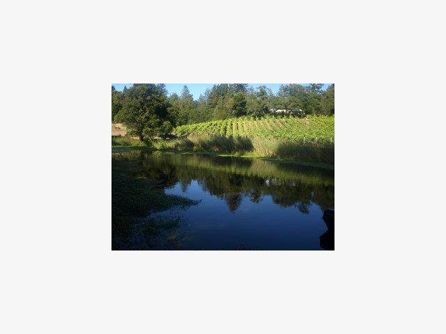 1100 AMAYA RIDGE Road, SOQUEL, California 95073, ,Lots And Land,For Sale,AMAYA RIDGE Road,40966603