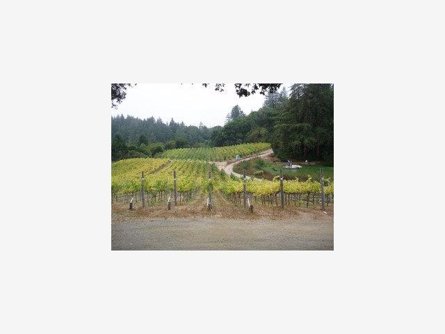 1100 AMAYA RIDGE Road, SOQUEL, California 95073, ,Lots And Land,For Sale,AMAYA RIDGE Road,40966603