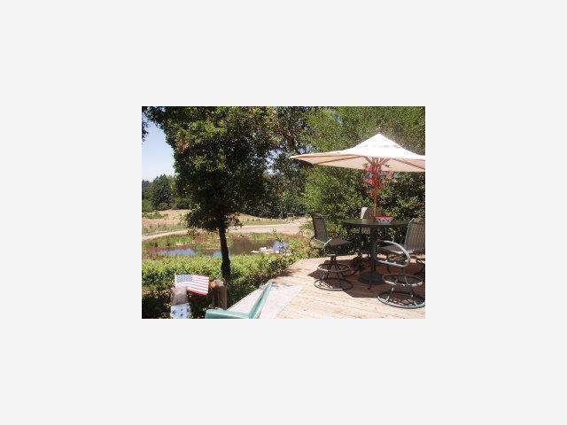 1100 AMAYA RIDGE Road, SOQUEL, California 95073, ,Lots And Land,For Sale,AMAYA RIDGE Road,40966603