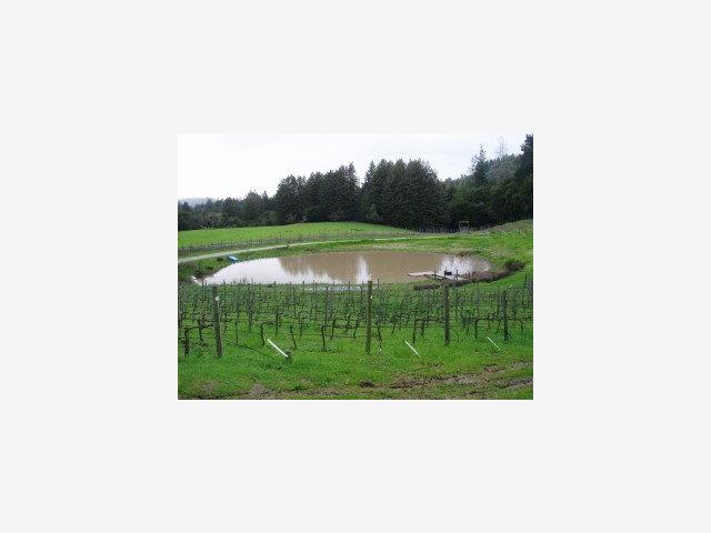 1100 AMAYA RIDGE Road, SOQUEL, California 95073, ,Lots And Land,For Sale,AMAYA RIDGE Road,40966603