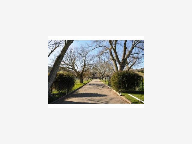 13905 WATSONVILLE Road, MORGAN HILL, California 95037, ,Lots And Land,For Sale,WATSONVILLE Road,40966597