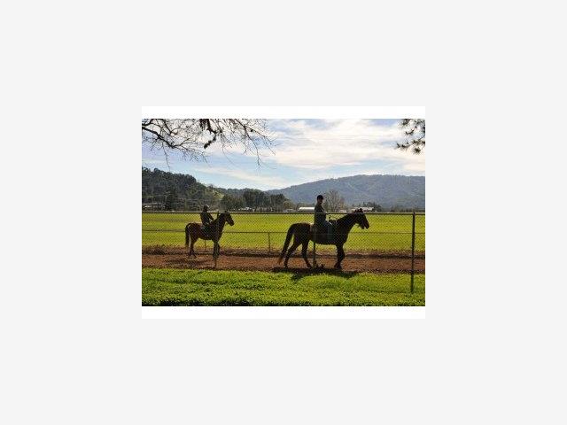 13905 WATSONVILLE Road, MORGAN HILL, California 95037, ,Lots And Land,For Sale,WATSONVILLE Road,40966597