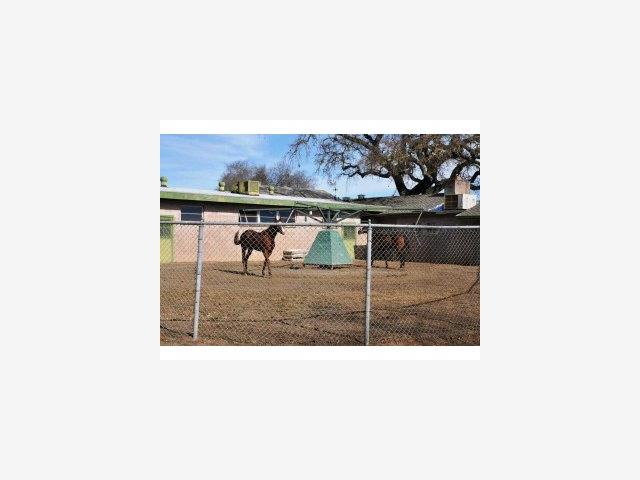 13905 WATSONVILLE Road, MORGAN HILL, California 95037, ,Lots And Land,For Sale,WATSONVILLE Road,40966597