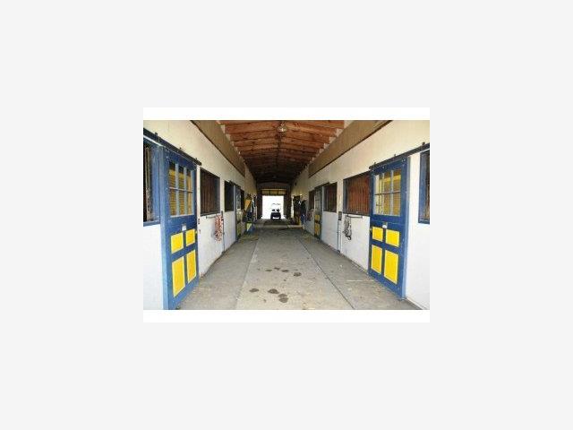 13905 WATSONVILLE Road, MORGAN HILL, California 95037, ,Lots And Land,For Sale,WATSONVILLE Road,40966597