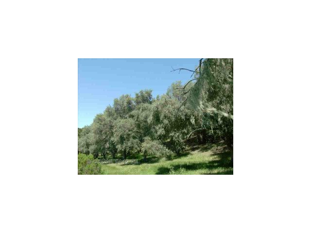 0 SAN JUAN CANYON Road, SAN JUAN BAUTISTA, California 95045, ,Lots And Land,For Sale,SAN JUAN CANYON Road,40966574