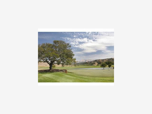 401 OSO D'ORO, SALINAS, California 93940, ,Lots And Land,For Sale,OSO D'ORO,40966684