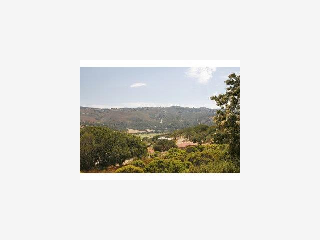 401 OSO D'ORO, SALINAS, California 93940, ,Lots And Land,For Sale,OSO D'ORO,40966684