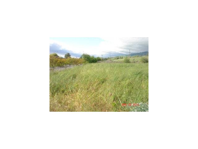 1230 PIEDMONT Road, MILPITAS, California 95035, ,Lots And Land,For Sale,PIEDMONT Road,40966588