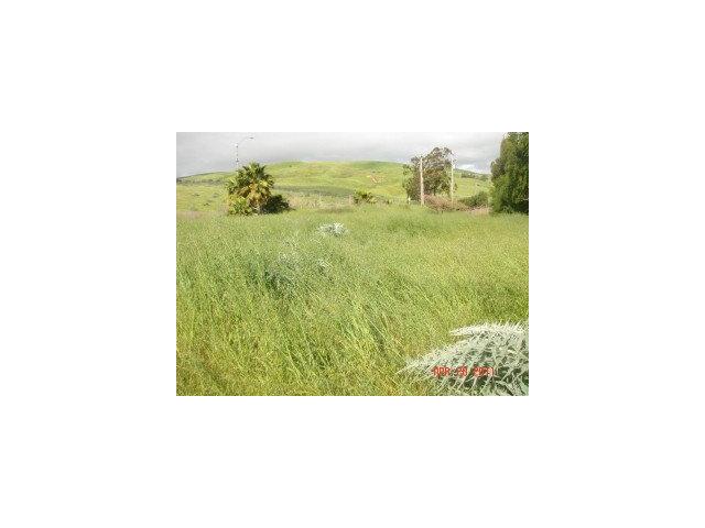 1230 PIEDMONT Road, MILPITAS, California 95035, ,Lots And Land,For Sale,PIEDMONT Road,40966588