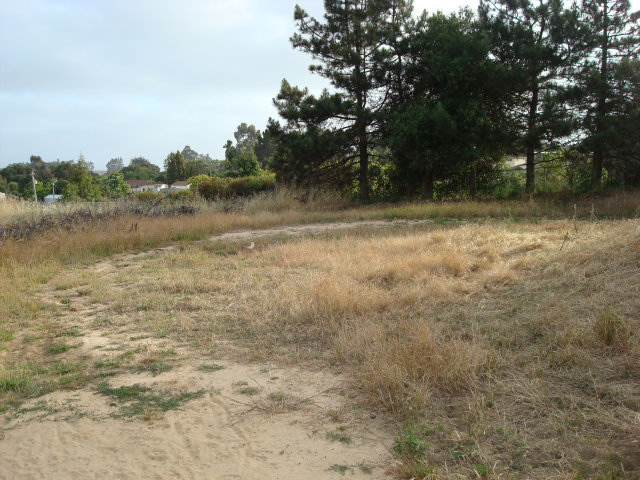 9680 MARTIN Lane, OTHER - SEE REMARKS, California 93907, ,Lots And Land,For Sale,MARTIN Lane,40966557