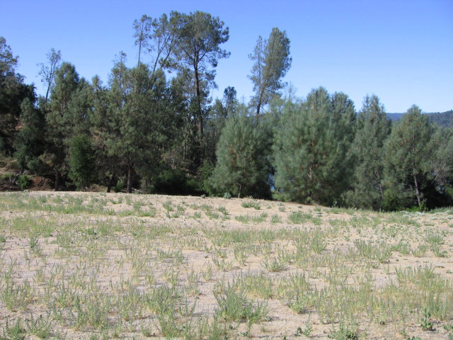 0 Cantinas Point, BRADLEY, California 93426, ,Lots And Land,For Sale,Cantinas Point,40966572
