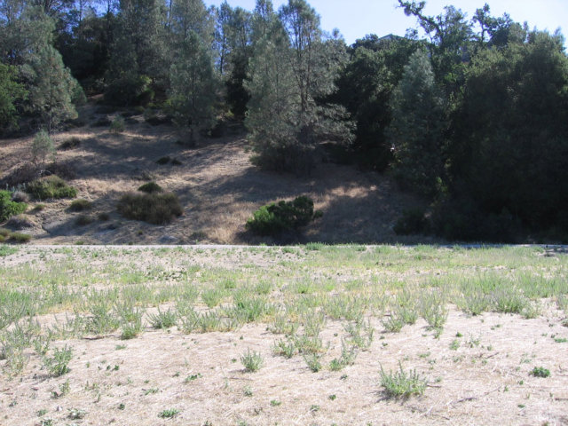0 Cantinas Point, BRADLEY, California 93426, ,Lots And Land,For Sale,Cantinas Point,40966572