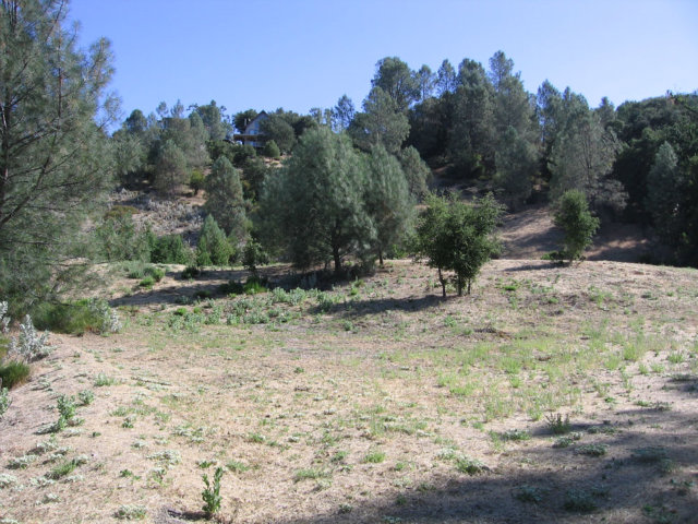 0 Cantinas Point, BRADLEY, California 93426, ,Lots And Land,For Sale,Cantinas Point,40966572