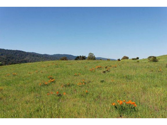 7 VERONICA Place, PORTOLA VALLEY, California 94028, ,Lots And Land,For Sale,VERONICA Place,40966569