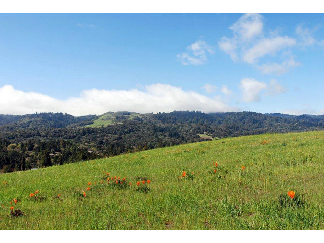 7 VERONICA Place, PORTOLA VALLEY, California 94028, ,Lots And Land,For Sale,VERONICA Place,40966569
