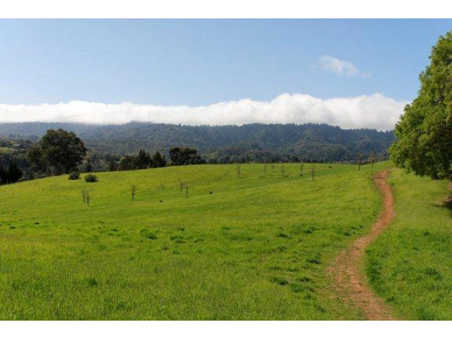 7 VERONICA Place, PORTOLA VALLEY, California 94028, ,Lots And Land,For Sale,VERONICA Place,40966569