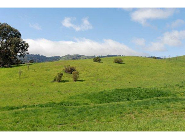 7 VERONICA Place, PORTOLA VALLEY, California 94028, ,Lots And Land,For Sale,VERONICA Place,40966569