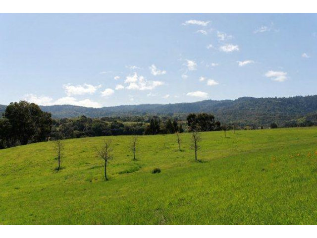 7 VERONICA Place, PORTOLA VALLEY, California 94028, ,Lots And Land,For Sale,VERONICA Place,40966569