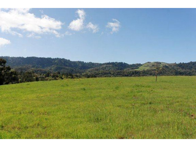 7 VERONICA Place, PORTOLA VALLEY, California 94028, ,Lots And Land,For Sale,VERONICA Place,40966569