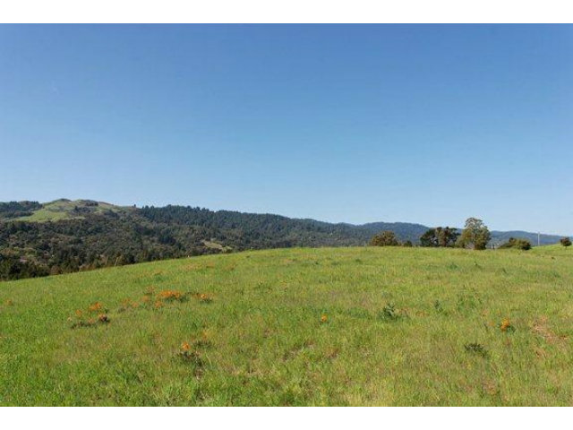 7 VERONICA Place, PORTOLA VALLEY, California 94028, ,Lots And Land,For Sale,VERONICA Place,40966569