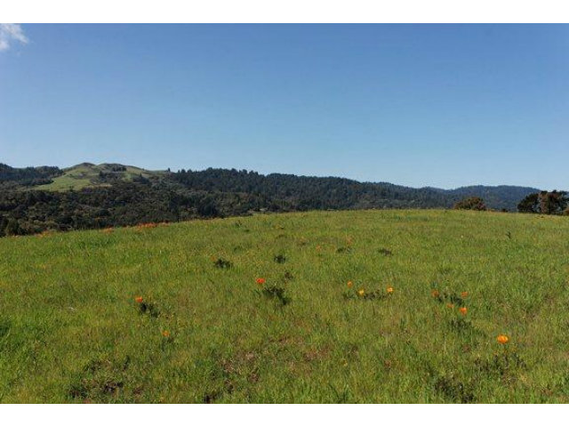 7 VERONICA Place, PORTOLA VALLEY, California 94028, ,Lots And Land,For Sale,VERONICA Place,40966569