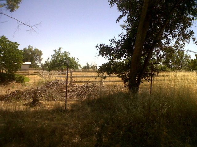 14430 Haycock Street, SLOUGHHOUSE, California 95683, ,Lots And Land,For Sale,Haycock Street,40966568