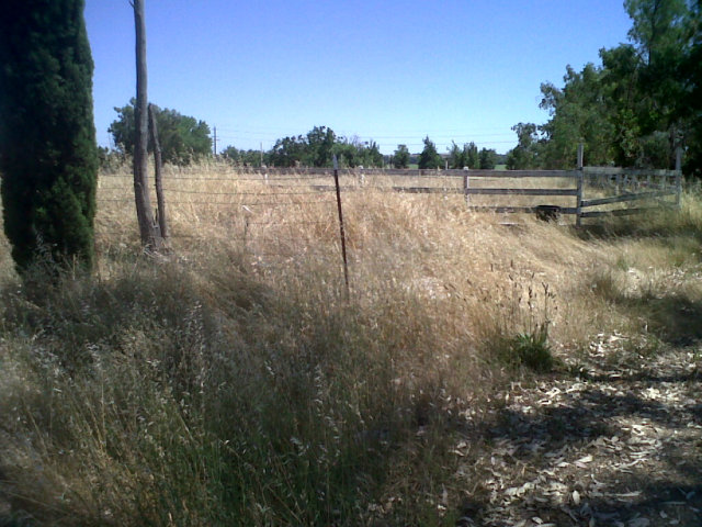 14430 Haycock Street, SLOUGHHOUSE, California 95683, ,Lots And Land,For Sale,Haycock Street,40966568