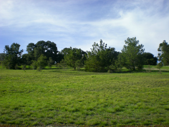 24237 MONTERRA WOODS Road, SALINAS, California 93940, ,Lots And Land,For Sale,MONTERRA WOODS Road,40966543
